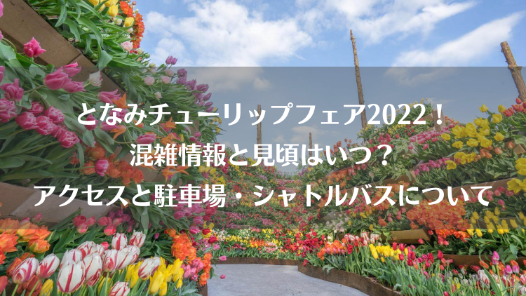 となみチューリップフェアの混雑22 見頃はいつ アクセスと駐車場 シャトルバスについても ラベイユblog