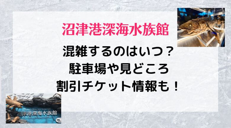 沼津港深海水族館の混雑2022！駐車場や見どころ割引チケット情報を紹介