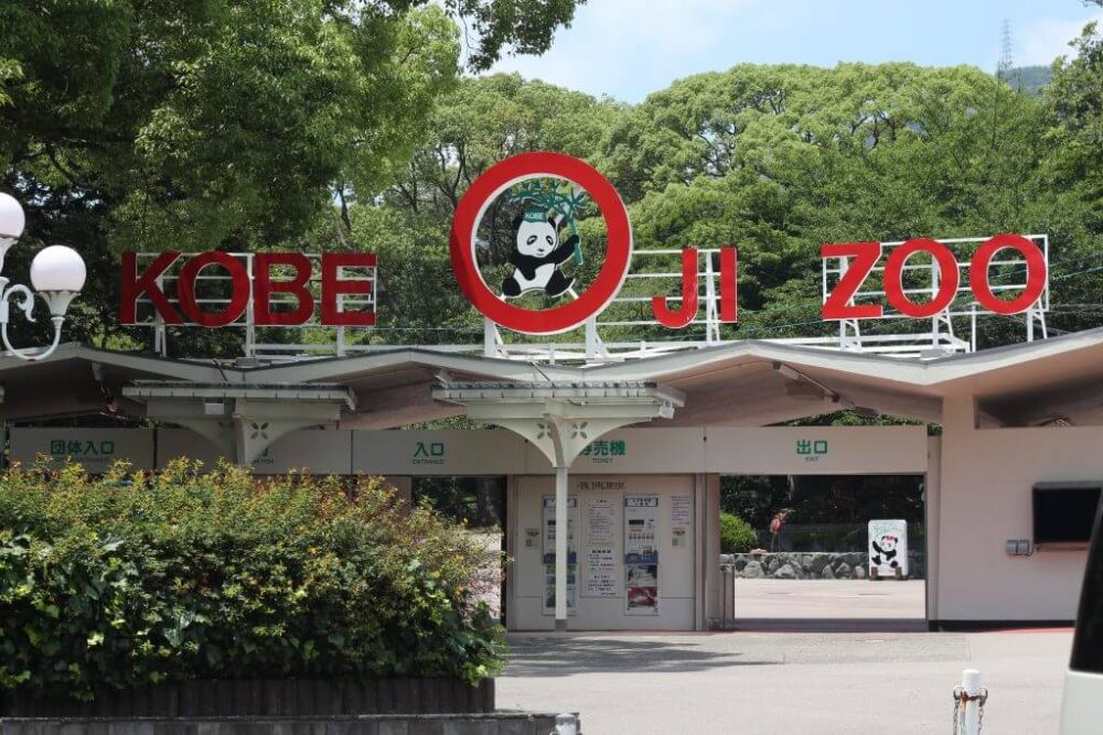 神戸市立王子動物園の混雑2022！入園料の割引はある？駐車場とパンダ情報も紹介