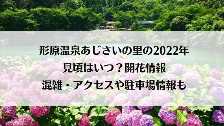 形原温泉あじさいの里の22年の見頃はいつ 開花情報と混雑 アクセスや駐車場情報も ラベイユblog 形原温泉あじさいの里の22年の見頃はいつ 開花情報と混雑 アクセスや駐車場情報も ラベイユblog