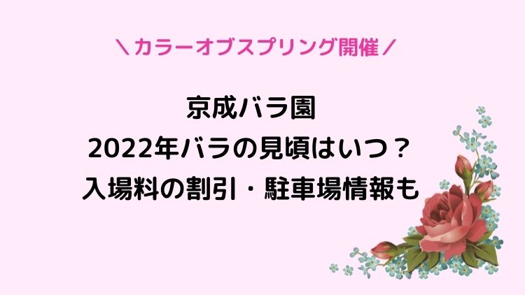 京成バラ園2022年のバラの見頃はいつ？混雑や入場料の割引・駐車場情報も