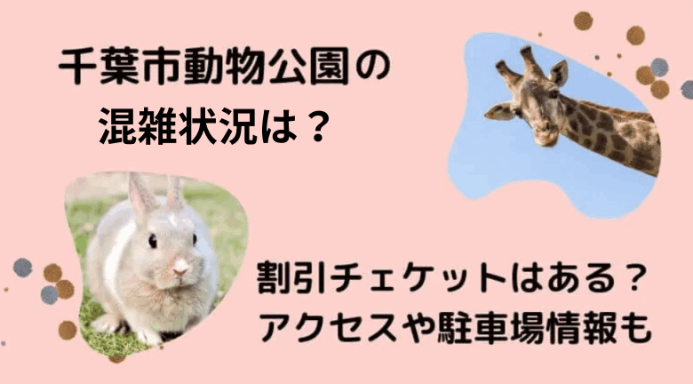 千葉市動物公園の混雑2023！割引チェケットはある？アクセスや駐車場情報も