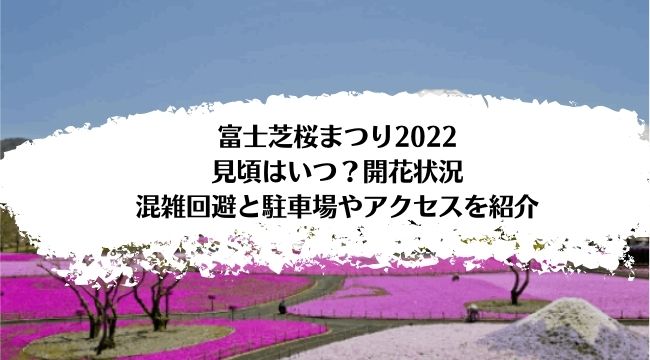 富士芝桜まつり2022の見頃はいつ？混雑や開花状況・ライブカメラと駐車場やアクセスを紹介