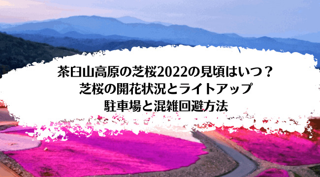 茶臼山高原の芝桜2022の見頃はいつ？芝桜の開花状況とライトアップ・駐車場と混雑回避方法