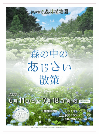 森の中のあじさい散策神戸市立森林植物園2022の日程