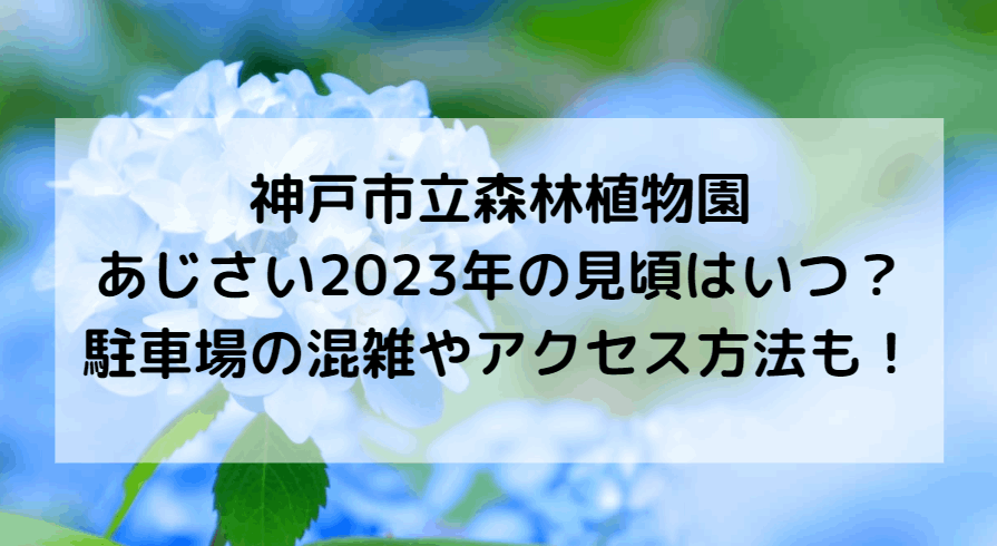 神戸市立森林植物園のあじさい2023年の見頃はいつ？駐車場の混雑やアクセス方法｜入園割引も！