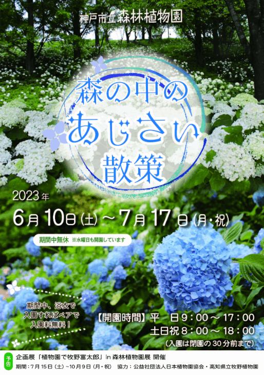 神戸市立森林植物園の「森の中のあじさい散策」の開催日程