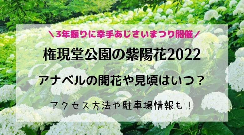 権現堂公園の紫陽花2022アナベルの開花や見頃はいつ？幸手あじさいまつりについても！