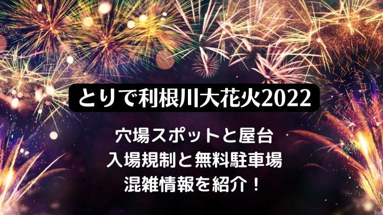 とりで利根川大花火2022の穴場と屋台・入場規制と駐車場・混雑情報を紹介！