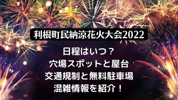 利根町民納涼花火大会2022の日程は？穴場スポットと無料駐車場・混雑情報も！