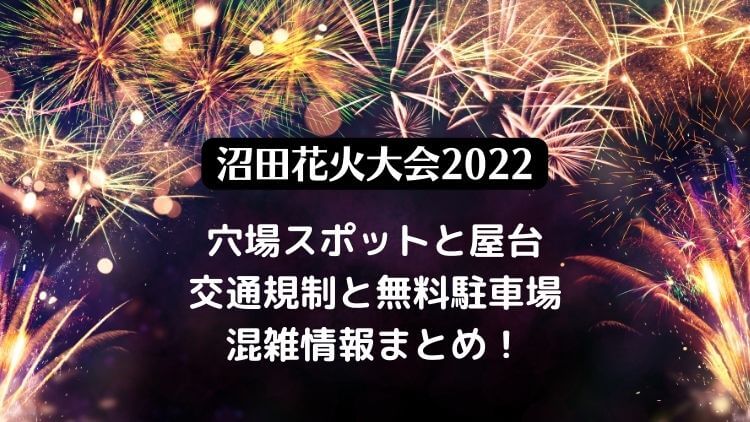 沼田花火大会2022の日程は？屋台や穴場スポットと無料駐車場と混雑情報も！