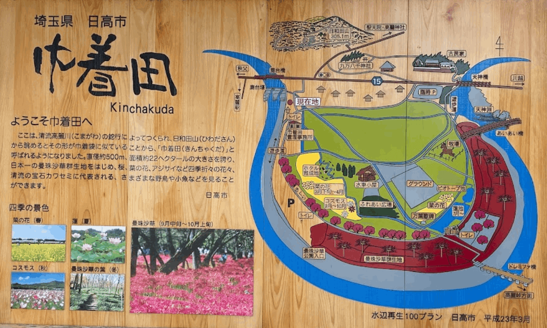 巾着田曼珠沙華公園の基本情報