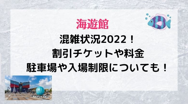 海遊館の混雑状況2022！割引チケットや料金・駐車場や入場制限についても！