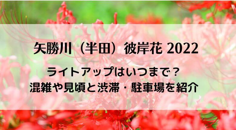 矢勝川（半田）彼岸花 2022ライトアップはいつまで？混雑や見頃と渋滞・駐車場を紹介