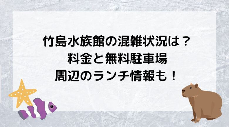 竹島水族館の混雑状況は？料金と無料駐車場・周辺のランチ情報も！