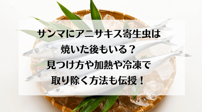 サンマにアニサキス寄生虫は焼いた後もいる？見つけ方や加熱や冷凍で取り除く方法も伝授！