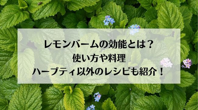 レモンバームの効能とは？使い方や料理・ハーブティ以外のレシピも紹介！