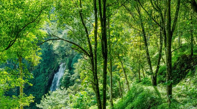 そもそもシリカ水とは？どんな水なの？