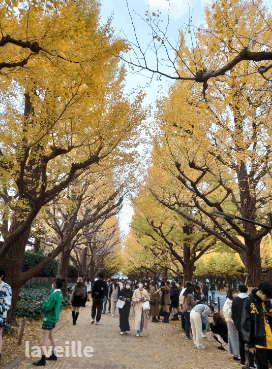 神宮外苑いちょう祭り2023